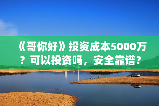 《哥你好》投资成本5000万？可以投资吗，安全靠谱？(《哥你好》投资多少钱)