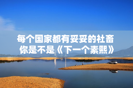 每个国家都有妥妥的社畜 你是不是《下一个素熙》