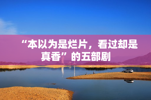 “本以为是烂片，看过却是真香”的五部剧