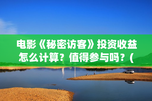 电影《秘密访客》投资收益怎么计算？值得参与吗？(电影《秘密访客》在线观看)