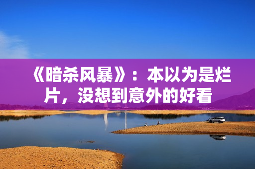 《暗杀风暴》：本以为是烂片，没想到意外的好看