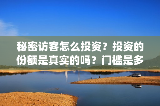 秘密访客怎么投资？投资的份额是真实的吗？门槛是多少？(秘密访客访客)