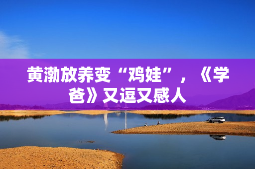 黄渤放养变“鸡娃”，《学爸》又逗又感人