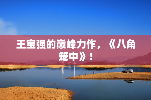 王宝强的巅峰力作，《八角笼中》！