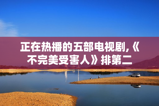 正在热播的五部电视剧,《不完美受害人》排第二