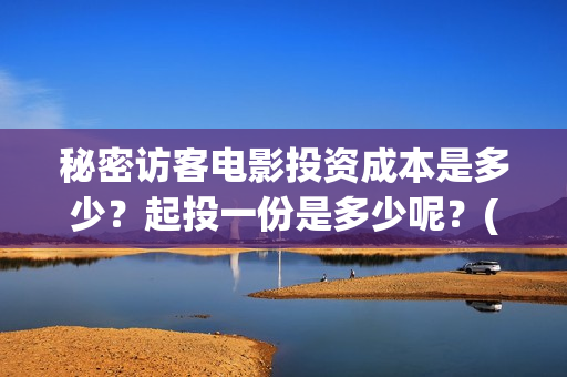 秘密访客电影投资成本是多少？起投一份是多少呢？(秘密访客电影预告)