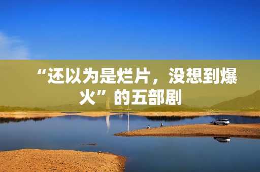 “还以为是烂片，没想到爆火”的五部剧