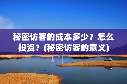 秘密访客的成本多少？怎么投资？(秘密访客的意义)