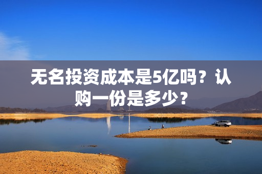无名投资成本是5亿吗？认购一份是多少？