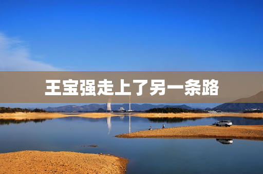 王宝强走上了另一条路