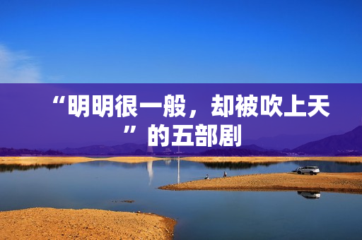 “明明很一般，却被吹上天”的五部剧