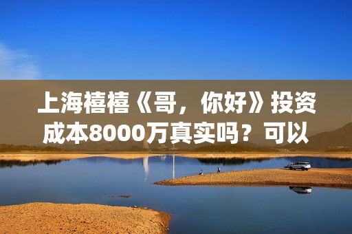 上海禧禧《哥，你好》投资成本8000万真实吗？可以投资？(禧哥是做什么行业的)