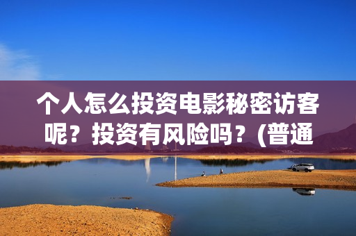 个人怎么投资电影秘密访客呢？投资有风险吗？(普通百姓怎样投资电影)