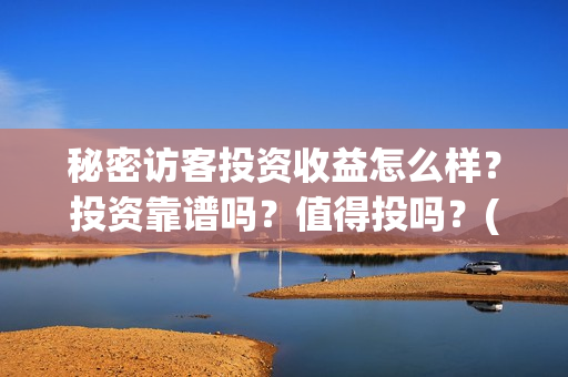 秘密访客投资收益怎么样？投资靠谱吗？值得投吗？(秘密访客总投资)