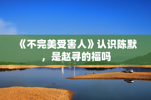 《不完美受害人》认识陈默，是赵寻的福吗