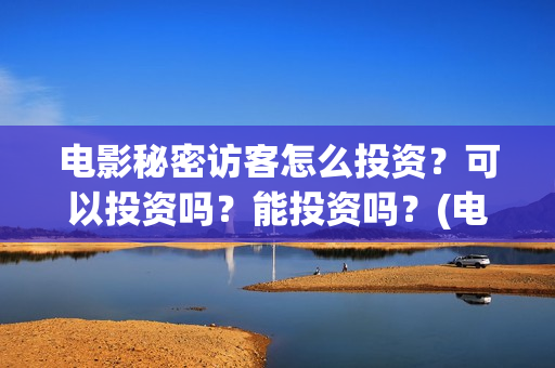 电影秘密访客怎么投资？可以投资吗？能投资吗？(电影秘密访客没看懂)