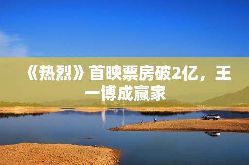 《热烈》首映票房破2亿，王一博成赢家