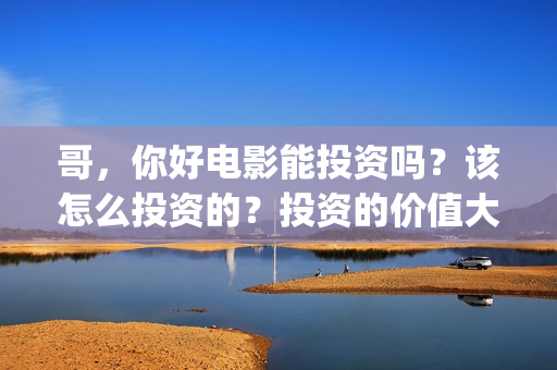 哥，你好电影能投资吗？该怎么投资的？投资的价值大吗？(哥哥你好牛)