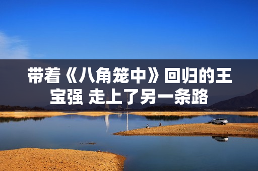 带着《八角笼中》回归的王宝强 走上了另一条路