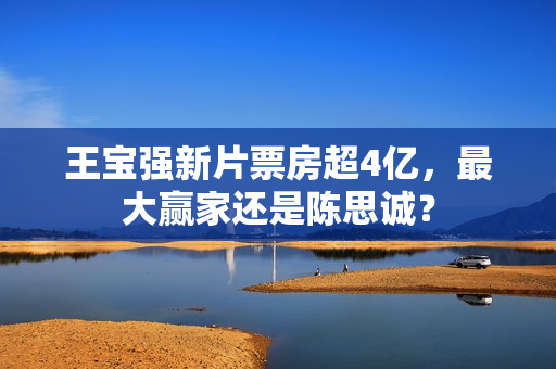 王宝强新片票房超4亿，最大赢家还是陈思诚？