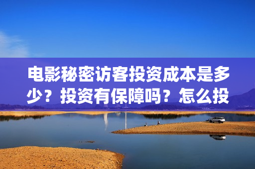 电影秘密访客投资成本是多少？投资有保障吗？怎么投资？(秘密访客电影价钱)