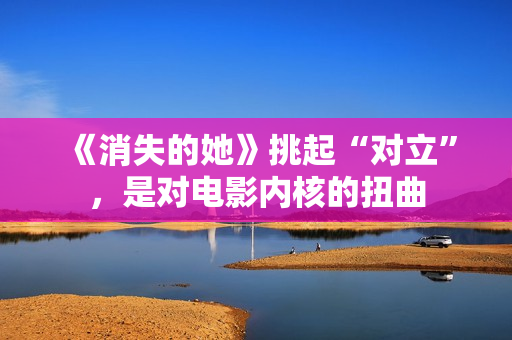 《消失的她》挑起“对立”，是对电影内核的扭曲