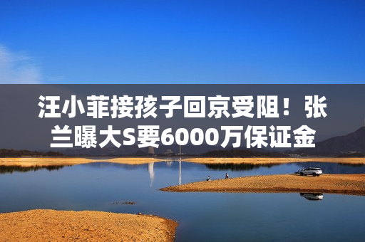 汪小菲接孩子回京受阻！张兰曝大S要6000万保证金