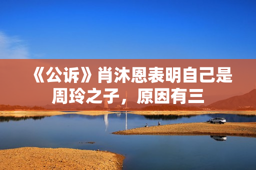 《公诉》肖沐恩表明自己是周玲之子，原因有三