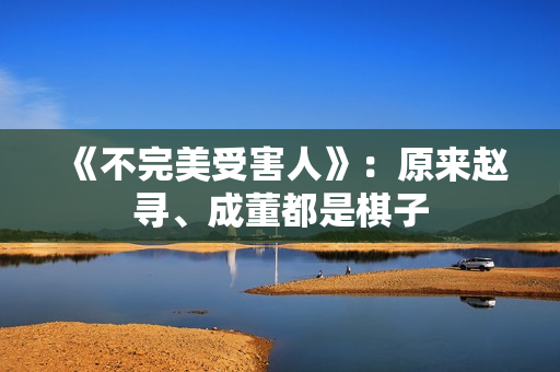 《不完美受害人》：原来赵寻、成董都是棋子