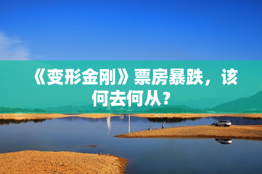 《变形金刚》票房暴跌，该何去何从？