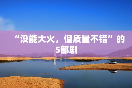 “没能大火，但质量不错”的5部剧