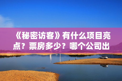 《秘密访客》有什么项目亮点？票房多少？哪个公司出品的？(秘密访客再讲什么)