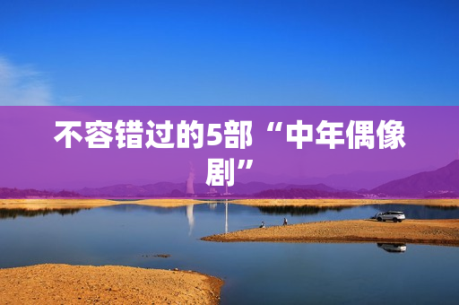 不容错过的5部“中年偶像剧”