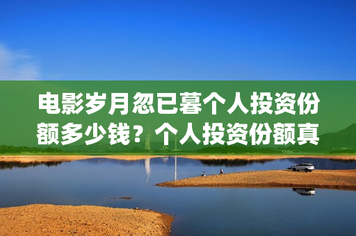 电影岁月忽已暮个人投资份额多少钱？个人投资份额真实吗？(电影岁月忽已暮经典语录)