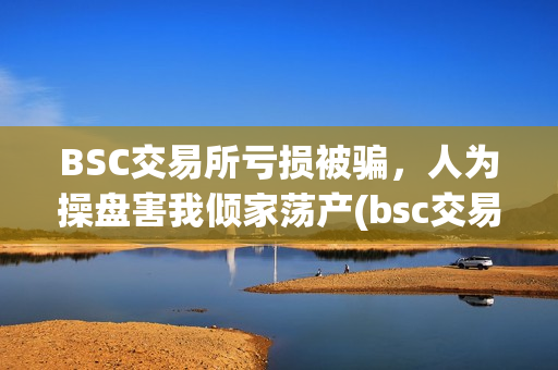 BSC交易所亏损被骗，人为操盘害我倾家荡产(bsc交易平台)