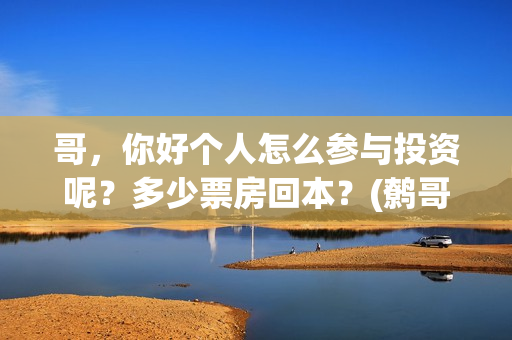 哥，你好个人怎么参与投资呢？多少票房回本？(鹩哥你好mp3)