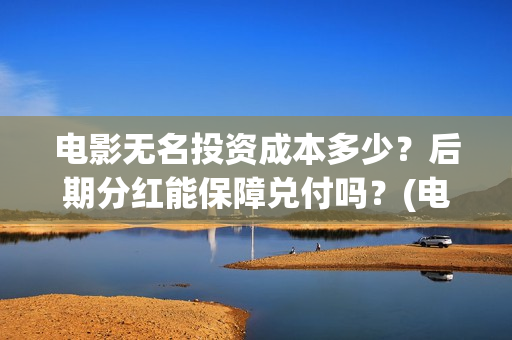 电影无名投资成本多少？后期分红能保障兑付吗？(电影《无名》)