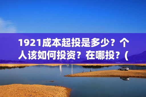 1921成本起投是多少？个人该如何投资？在哪投？(电影1921的成本)
