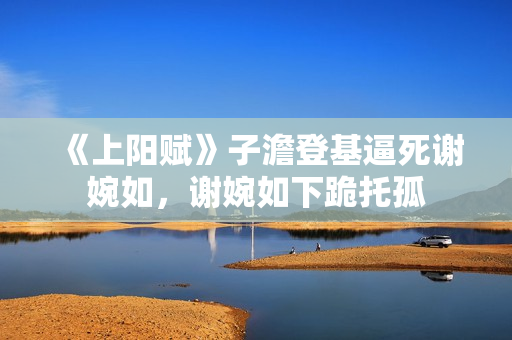 《上阳赋》子澹登基逼死谢婉如，谢婉如下跪托孤