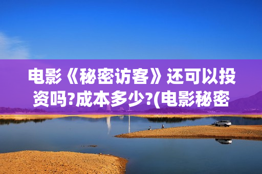 电影《秘密访客》还可以投资吗?成本多少?(电影秘密访客故事讲的是什么)