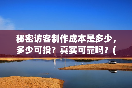 秘密访客制作成本是多少，多少可投？真实可靠吗？(秘密访客说明)