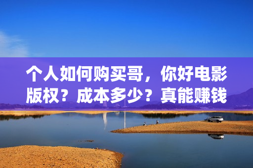 个人如何购买哥，你好电影版权？成本多少？真能赚钱吗？(个人如何买一家公司)