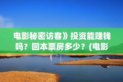 电影秘密访客》投资能赚钱吗？回本票房多少？(电影秘密访客故事讲的是什么)