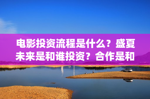 电影投资流程是什么？盛夏未来是和谁投资？合作是和出品方吗？(电影投资是怎么投资的)