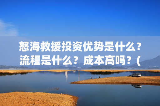怒海救援投资优势是什么？流程是什么？成本高吗？(《怒海救援》)