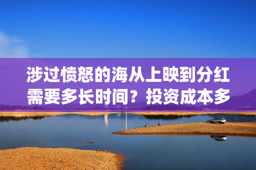 涉过愤怒的海从上映到分红需要多长时间？投资成本多少？(小说涉过愤怒的海)