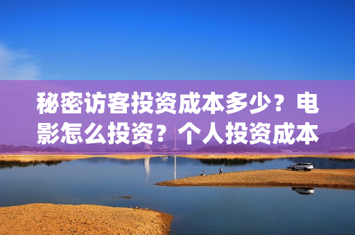 秘密访客投资成本多少？电影怎么投资？个人投资成本多少？(秘密访客的投资成本)