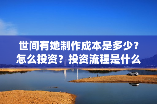 世间有她制作成本是多少？怎么投资？投资流程是什么？(世间有她什么题材)