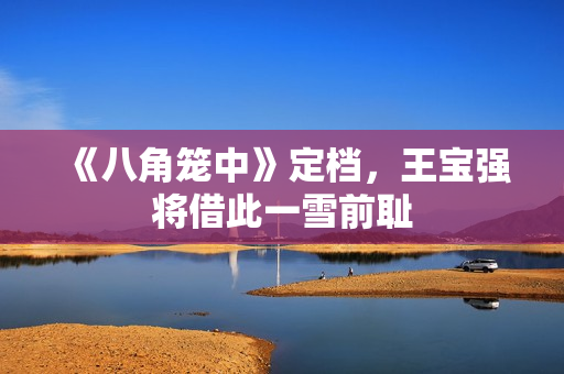 《八角笼中》定档，王宝强将借此一雪前耻