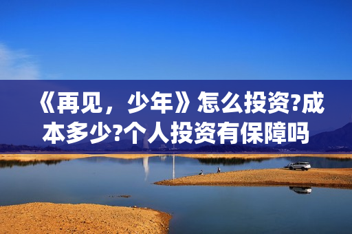 《再见，少年》怎么投资?成本多少?个人投资有保障吗?(再见少年拉满弓原唱)